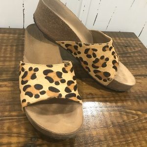 Leopard wedge